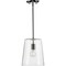 Progress Lighting Clarion Collection Polished Nickel One-Light Small Pendant P500241-104 - alternate 2